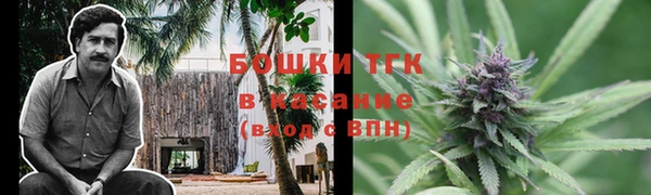 ECSTASY Богородск