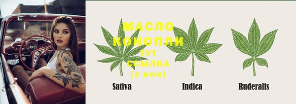ECSTASY Богородск