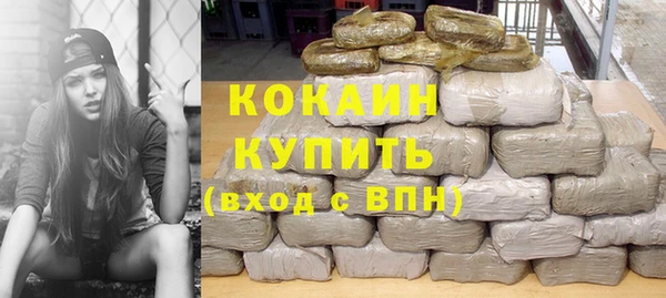 сатива Рославль