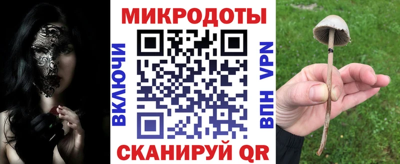 Галлюциногенные грибы мицелий  Рузаевка 