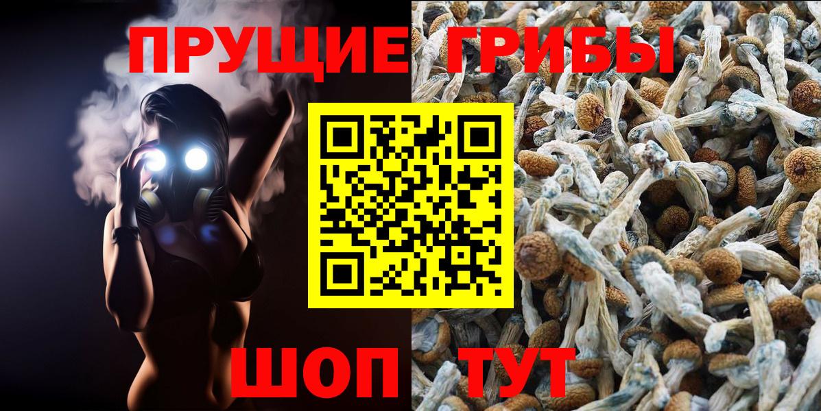 Рузаевка  Псилоцибиновые грибы MAGIC MUSHROOMS  Псилоцибиновые грибы ЛСД  Вход с VPN 