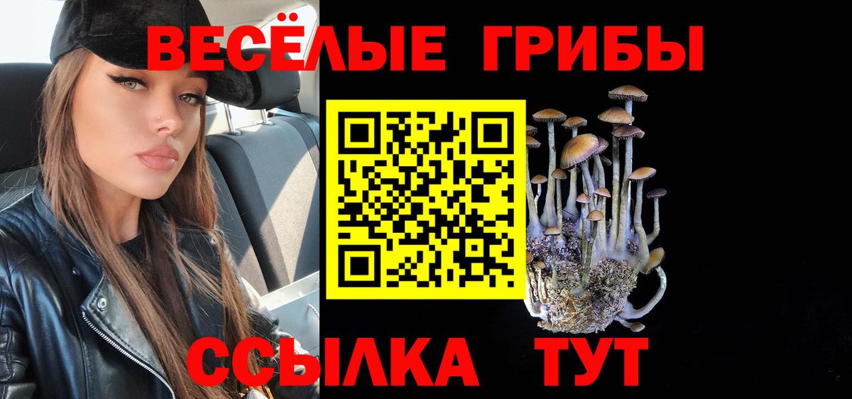 Псилоцибиновые грибы ЛСД Рузаевка