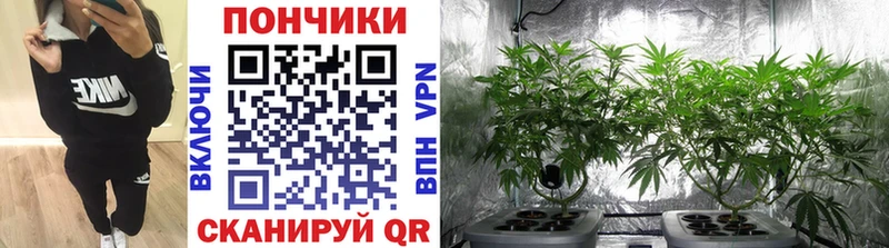 купить наркоту  Рузаевка  Канабис семена 